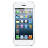 Apple iPhone 5 16Gb white - Апатиты